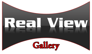 RealView Gallery