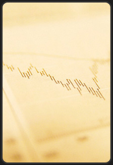 Egypt Market